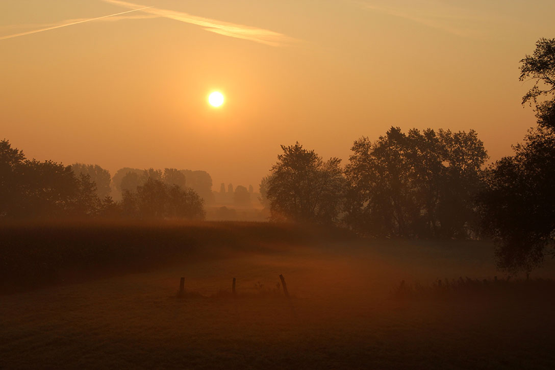 Meerbusch Sonnenaufgang Rheinwiesen